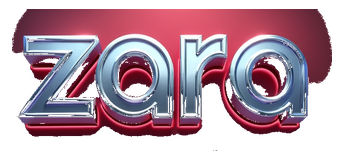 zara 4d logo